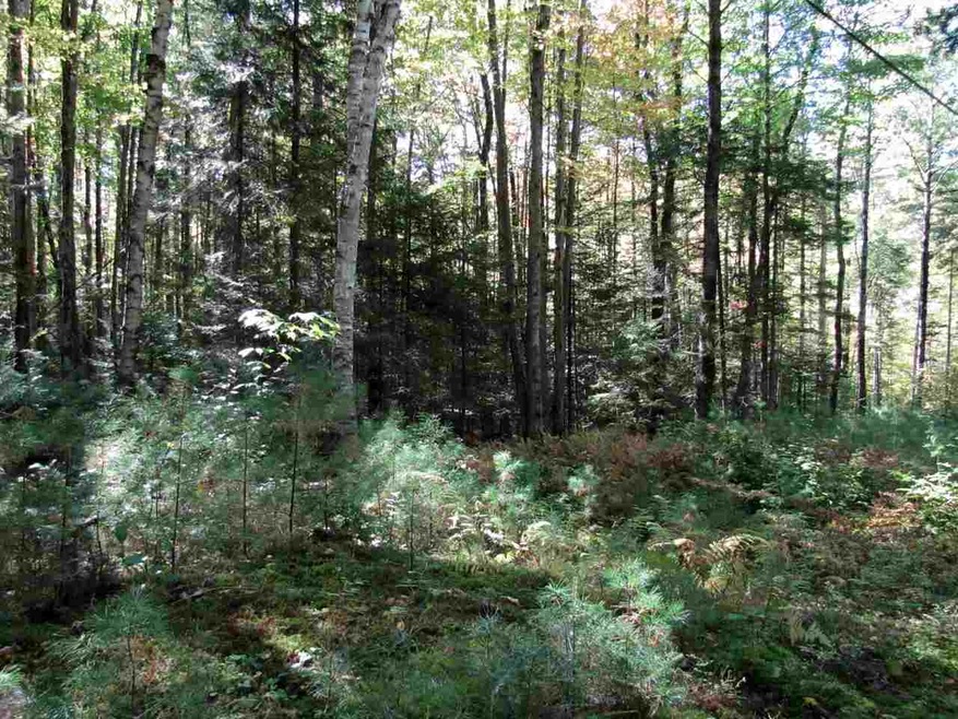 000 Skinny Ridge Rd unit Lot  7, Lyman, NH 03585 - photo 1