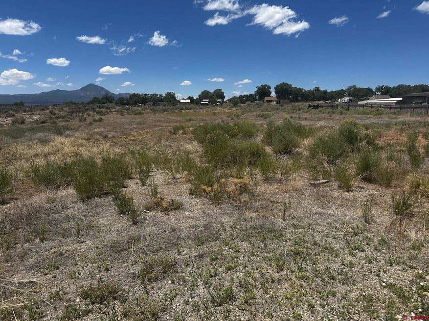 TBD S Chestnut St, Cortez, CO 81321 - photo 1