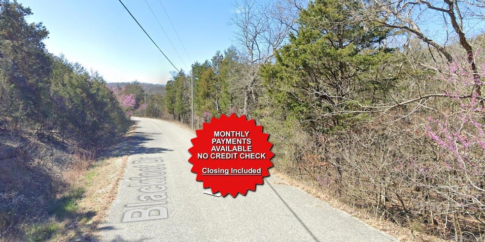 Lot 16 Blackfoot Dr, Holiday Island, AR 72631 - photo 1