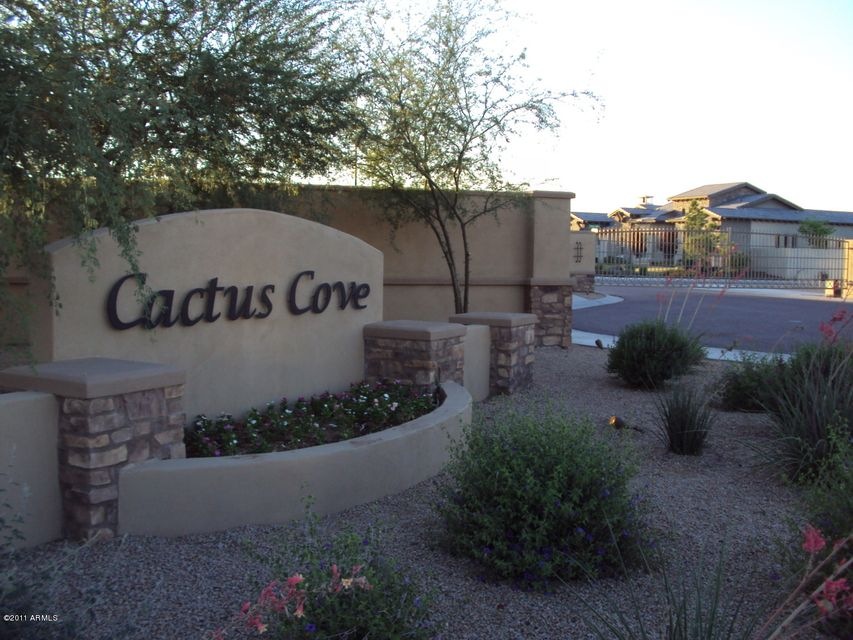 CACTUS COVE