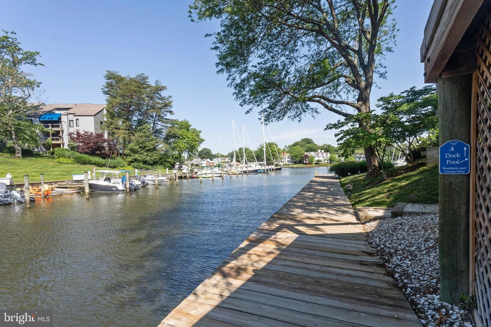 3 Spa Creek Landing unit B2, Annapolis, MD 21403 - photo 1