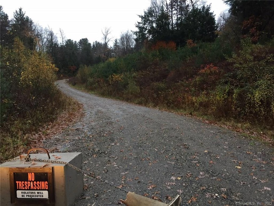 251 Richards Rd, New Hartford, CT 06057 - photo 1