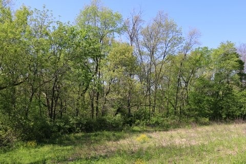5.5 AC Alpine Rd, Brooklyn, WI 53521 - photo 1