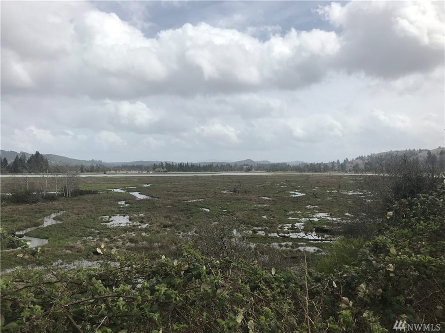 0 14th St & Monohon Landing Rd, Raymond, WA 98577 - photo 1