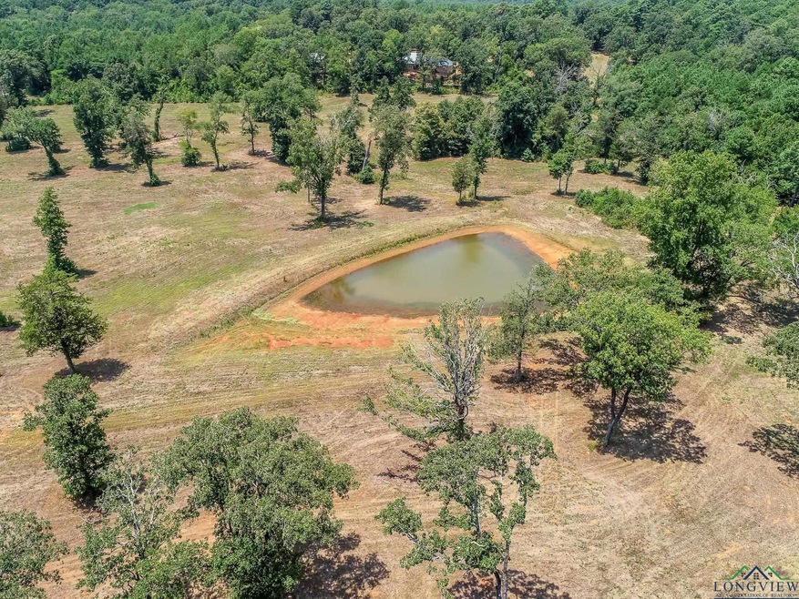 LOT 2 County Road 358, Winona, TX 75792 MLS 20234509