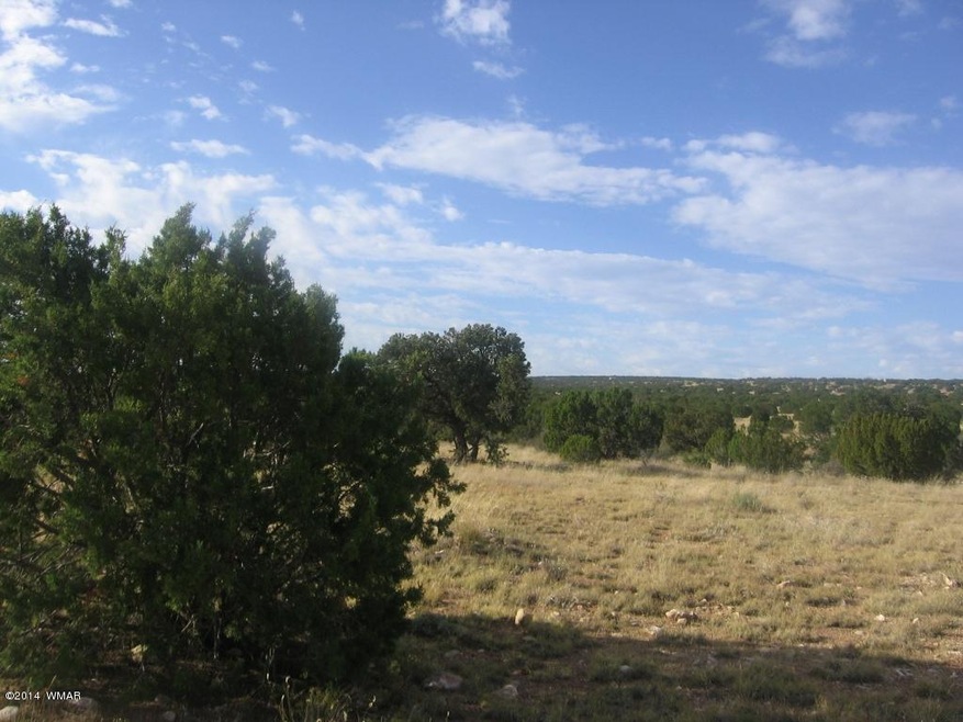 Joan 14 acres  Mulvhill 002