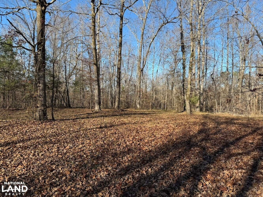 8951 County Rd 11, Florence, AL 35633 - photo 1