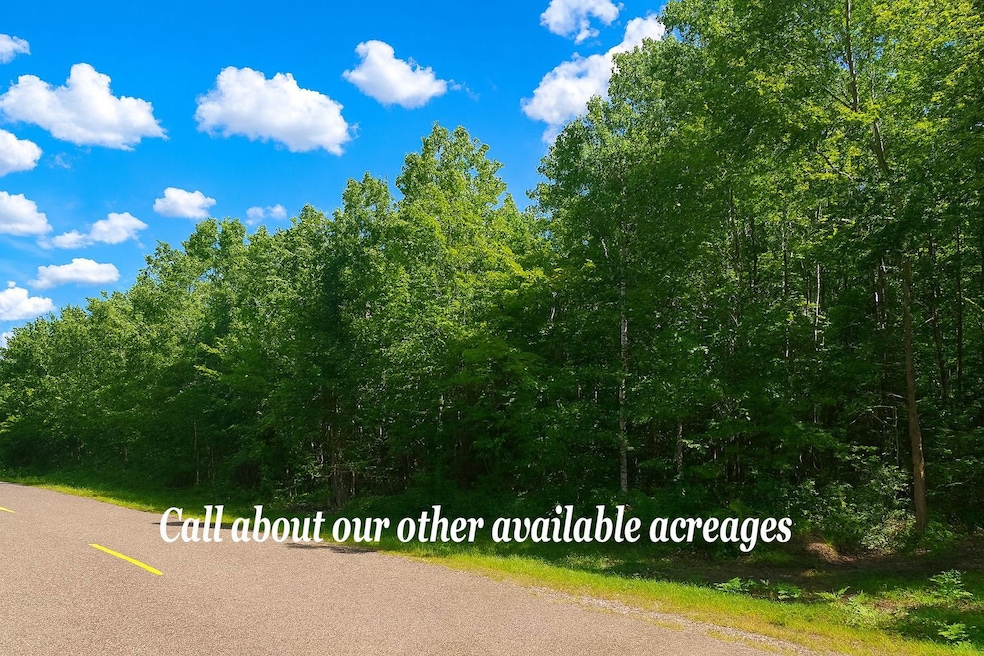 Lot 1 Cth C, Couderay, WI 54835 - photo 1