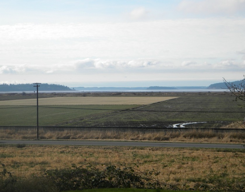 31225 Pioneer Hwy, Stanwood, WA 98292 - photo 1