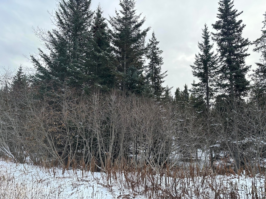 000 Old Sterling Hwy, Anchor Point, AK 99556 - photo 1