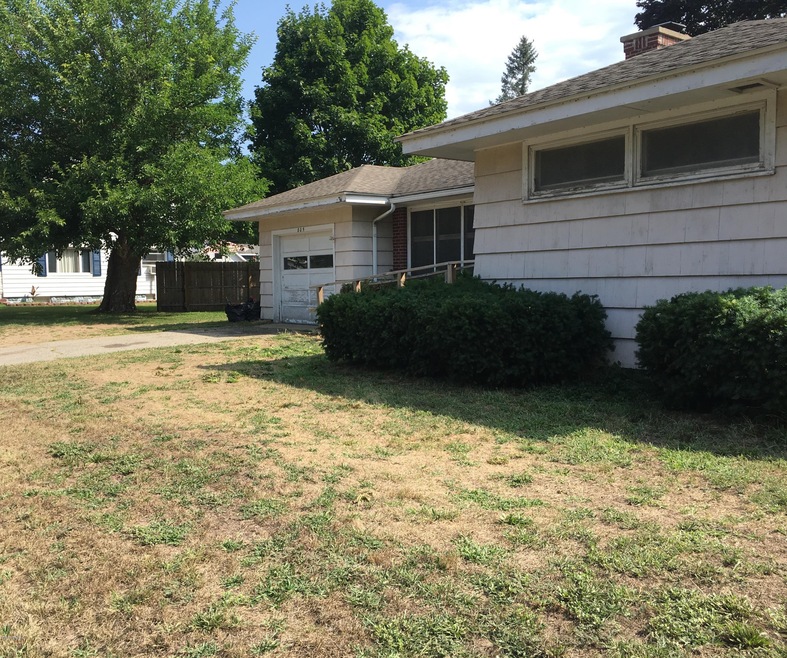 805 N Hudson St, Lowell, MI 49331 - photo 1