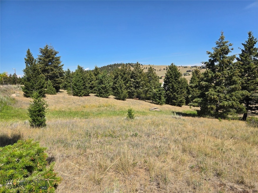 lot 84 Chalet Loop, Butte, MT 59701 - photo 1