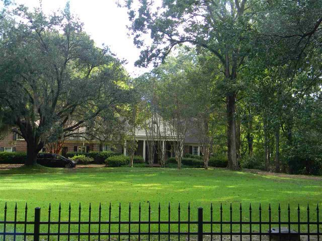 Main View