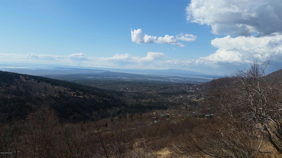 L1L2 Canyon Rd, Anchorage, AK 99516 - photo 1