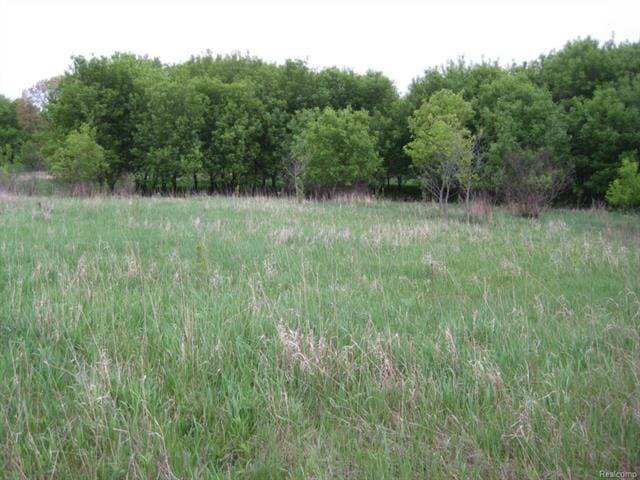 Looking South From Homesite