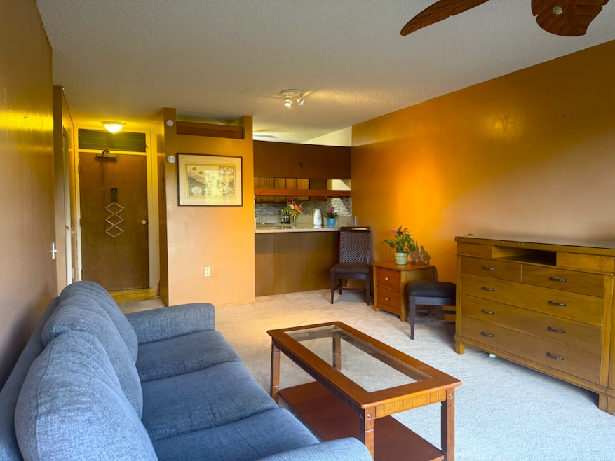 3-3400 Kuhio Hwy unit C306, Lihue, HI 96766 - photo 1