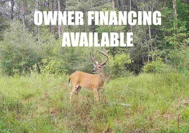 0 Tbd Highway 87 unit LotWP001, Bleakwood, TX 75956 - photo 1