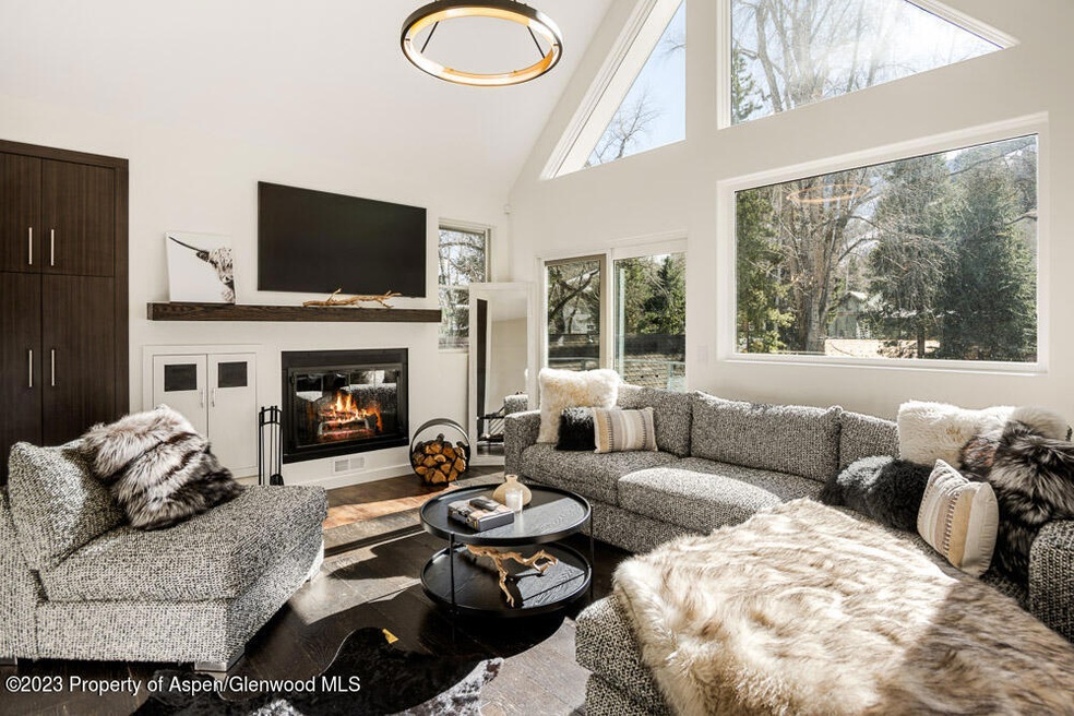 222 W Hopkins Ave unit 6, Aspen, CO 81611 - photo 1