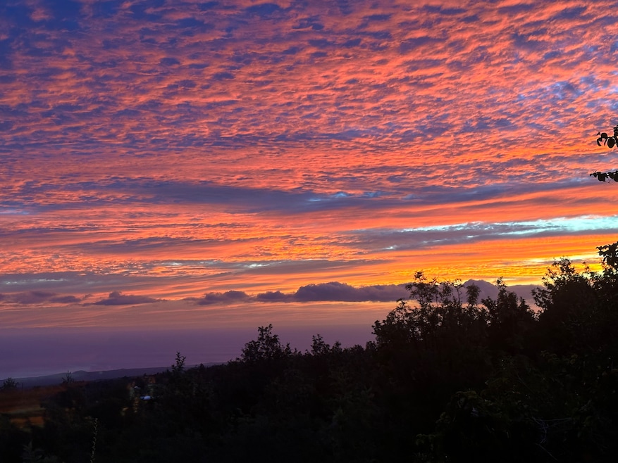 92-8233 Reef Pkwy, Captain Cook, HI 96771 - photo 1