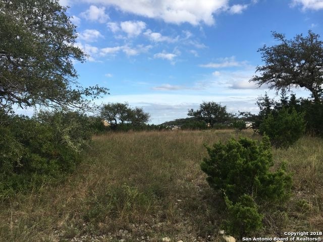 23210 Walker Ridge, San Antonio, TX 78255 - photo 1