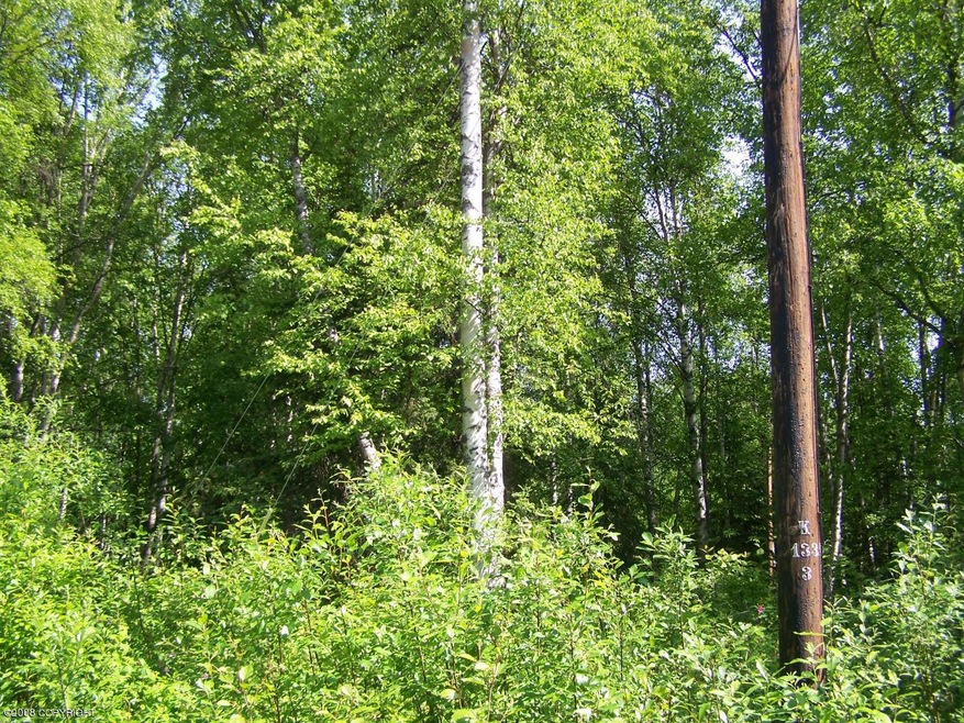 Main Photo on Bogle Bluff