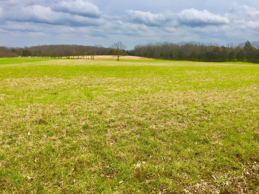 297 Whitaker Rd, Shelbyville, TN 37160 - photo 1