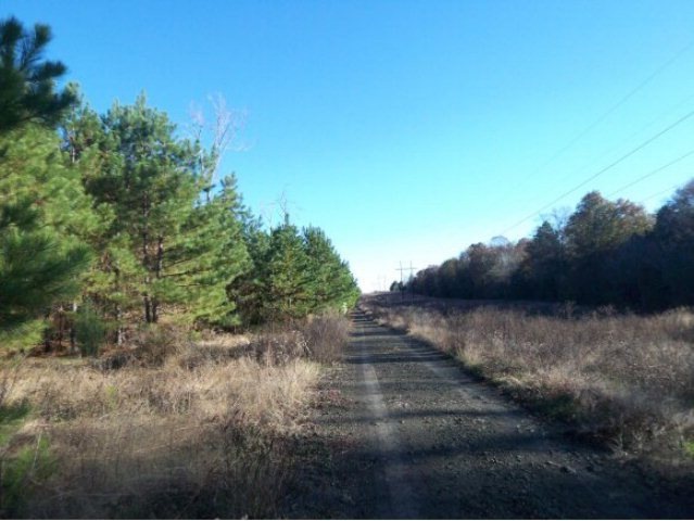 0 County Road 802, Nacogdoches, TX 75964 - photo 1
