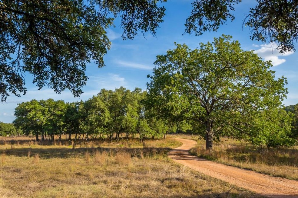 597 Achtzehn Rd, Fredericksburg, TX 78624 - photo 1