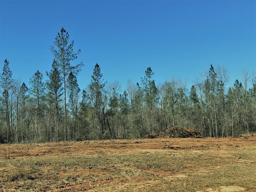 1.11ac Pineview Rd, Lucedale, MS 39452 - photo 1