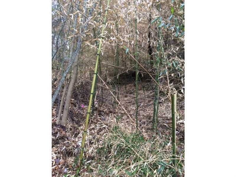 0 Wychwood Place Off Place unit 1124412, Johnston, RI 02919 - photo 1