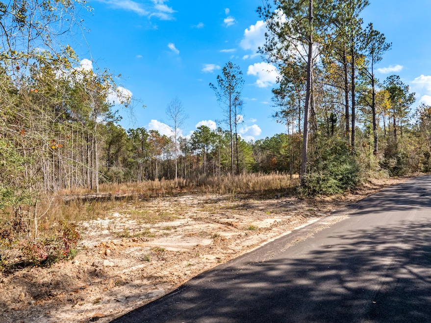 00 Springhill School Rd, Collins, MS 39428 - photo 1