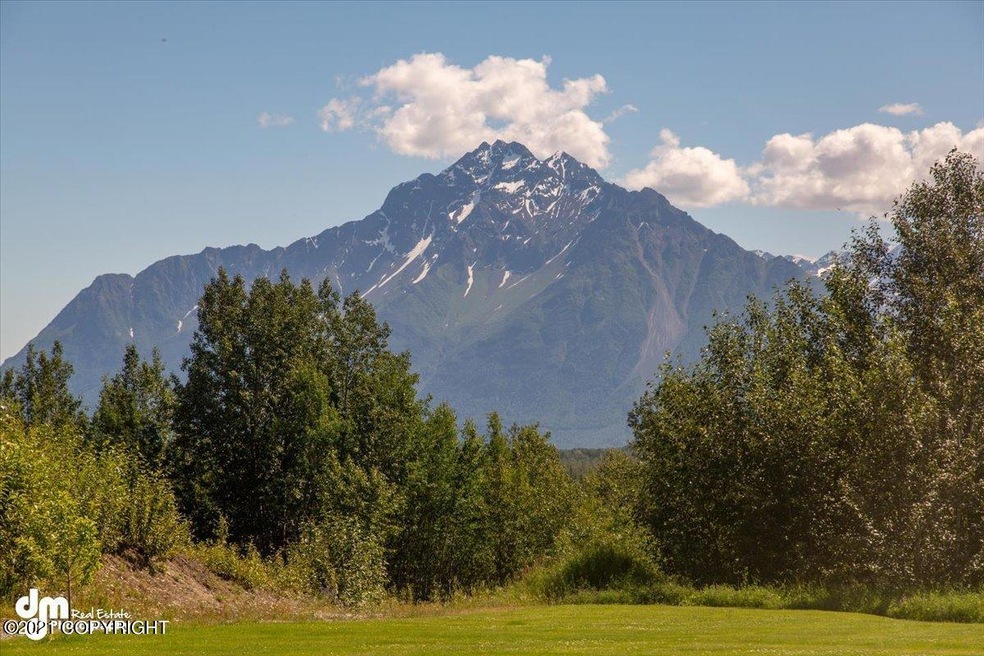 7-Mountain View_DMD_0908