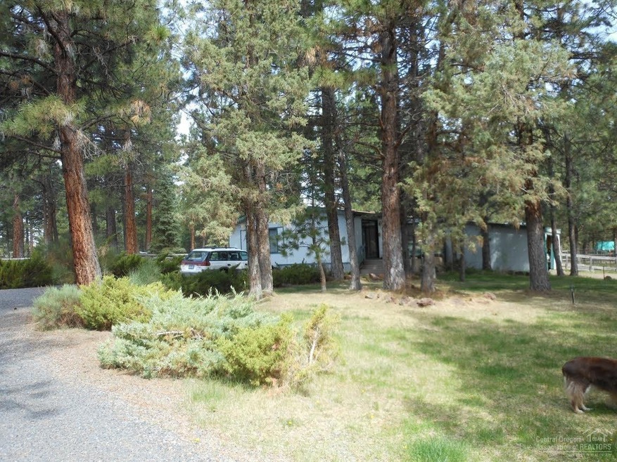 Primary Photo