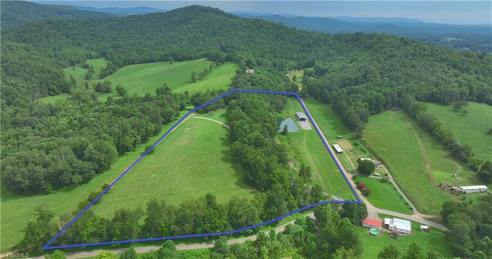 2558 Old Highway 60, Purlear, NC 28665 - photo 1