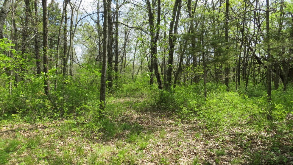 Gorgeous Wooded Setting