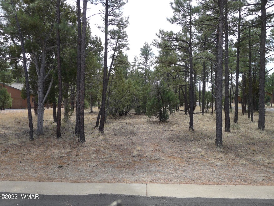 Lot Center - North to South