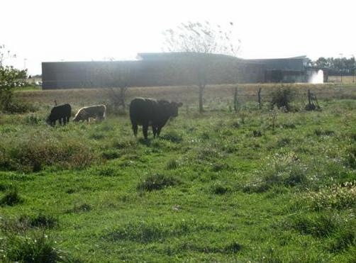 310 E 58 Hwy, Raymore, MO 64083 - photo 1