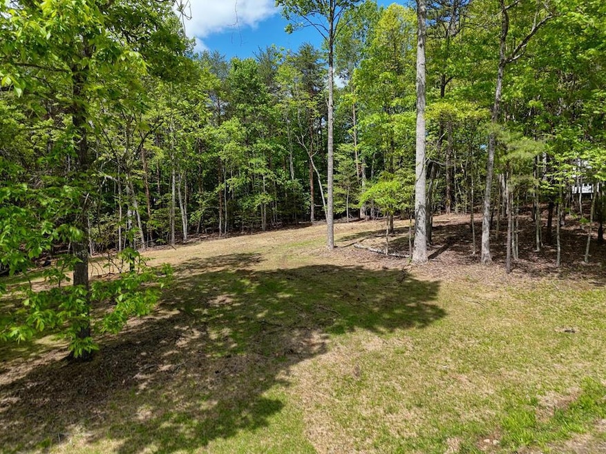 0 The Landing unit 415661, Blairsville, GA 30512 - photo 1