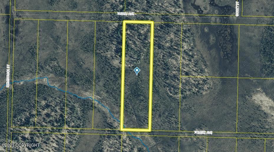 Tr7 Tomski, Anchor Point, AK 99556 - photo 1