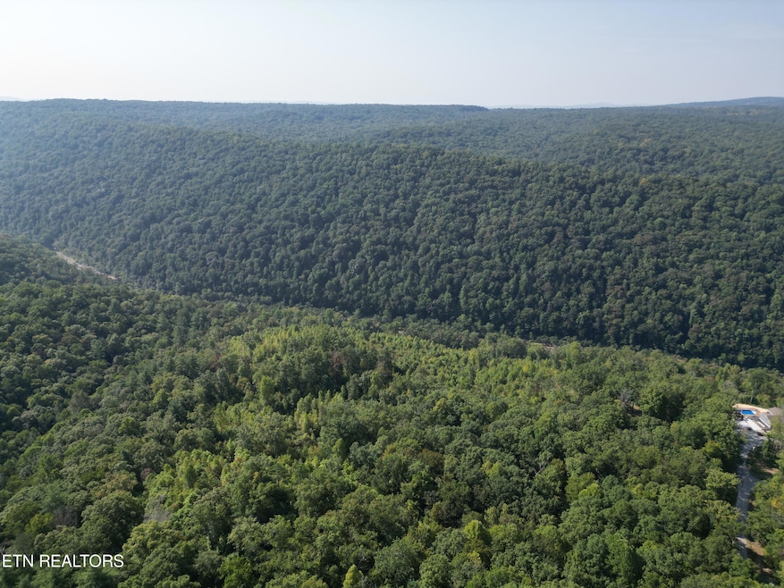 DJI_0253