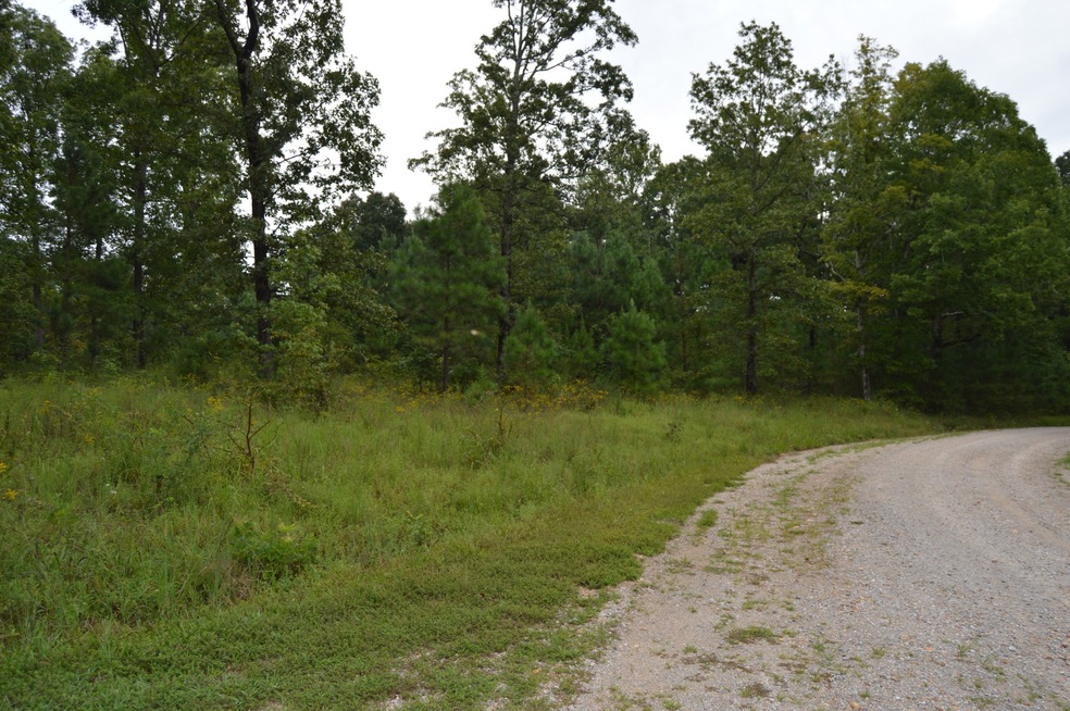 0 Mathis Cemetery Rd unit 2187275, Stewart, TN 37175 - photo 1