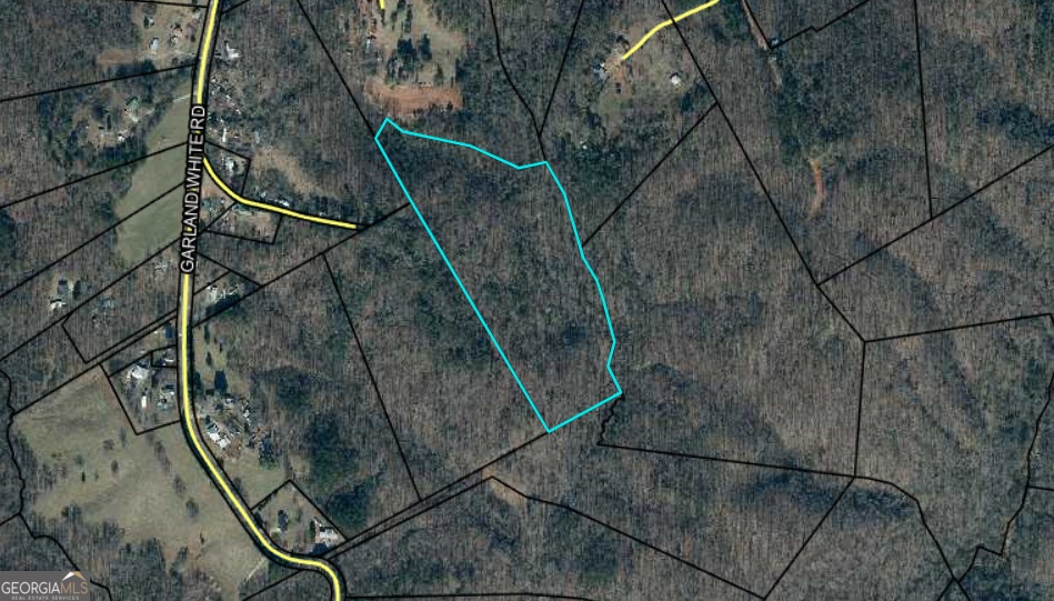 0 Garland White Rd unit 10395953, Alto, GA 30510 - photo 1