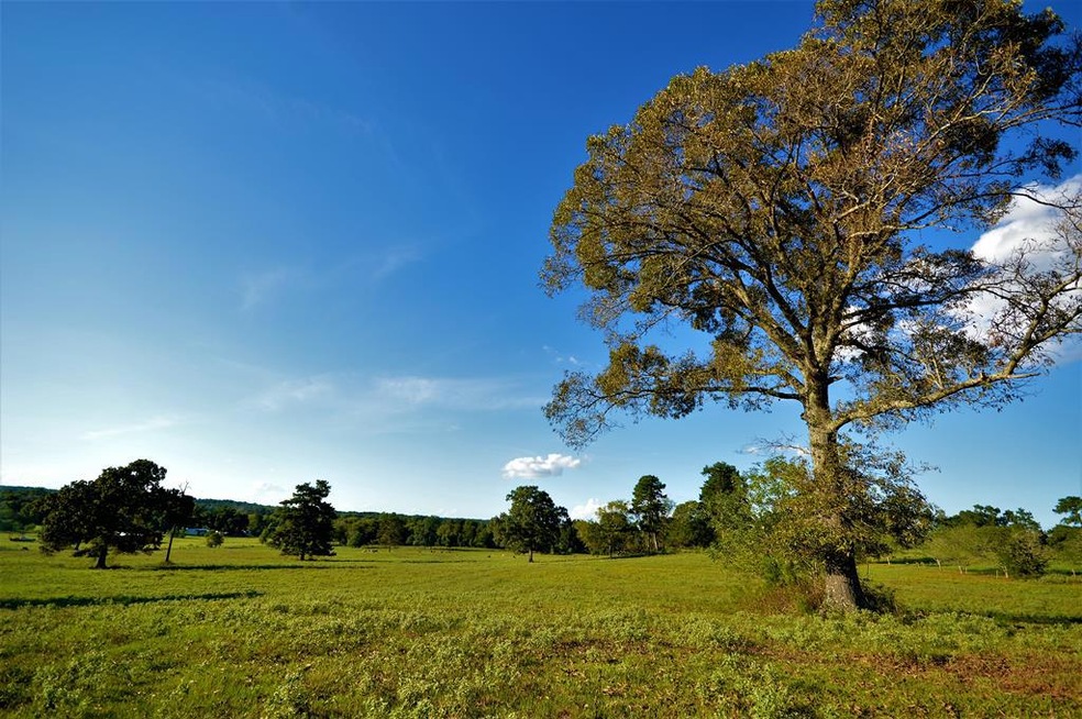 000 Fm 698, Nacogdoches, TX 75964 - photo 1