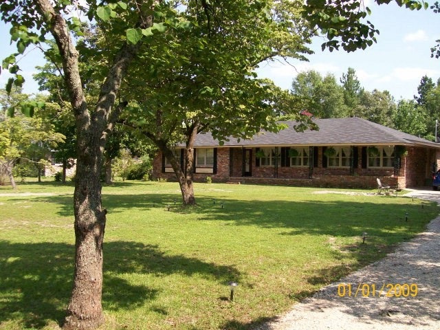 Main View