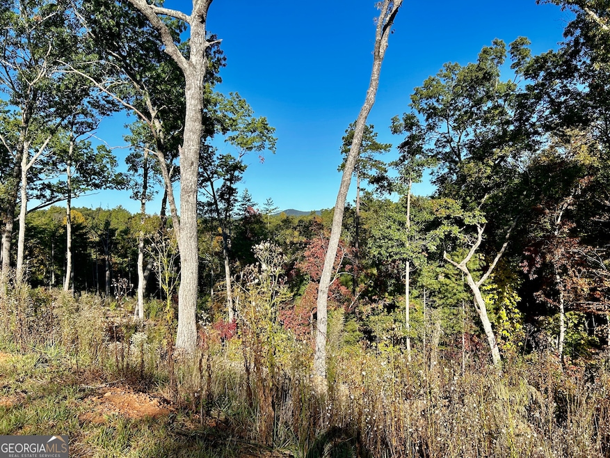 LOT 305 High River Rd, Ellijay, GA 30540 - photo 1