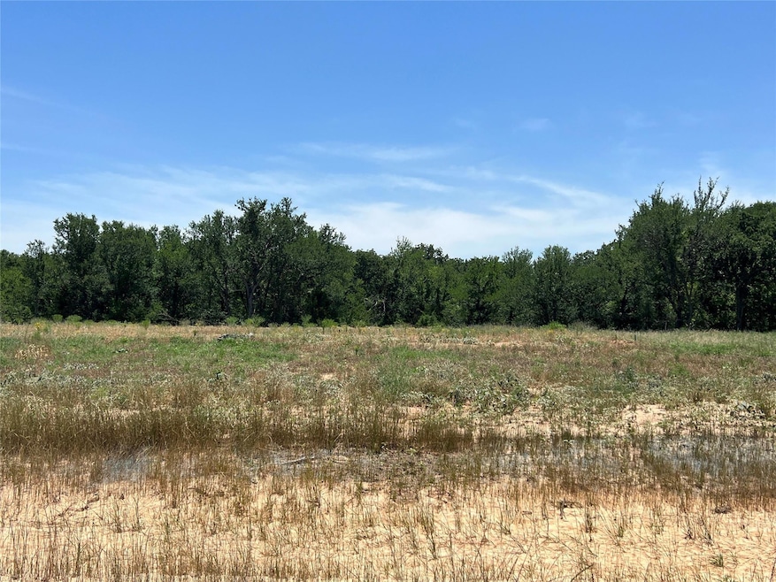 Lot View with trees at the back