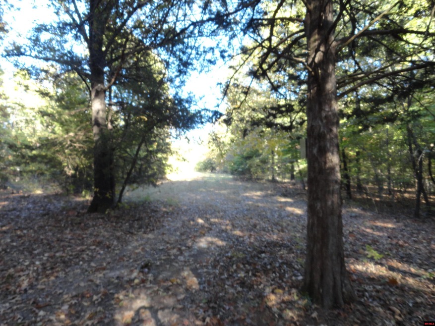 001-02053-004 Hand Cove Rd, Elizabeth, AR 72531 - photo 1