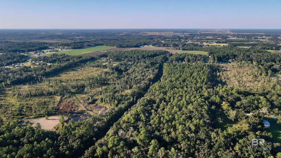 15400 Barlow Rd, Loxley, AL 36551 - photo 1