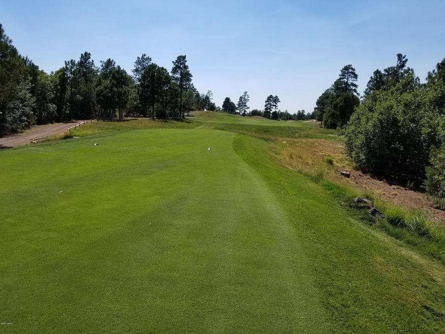 Tee Box