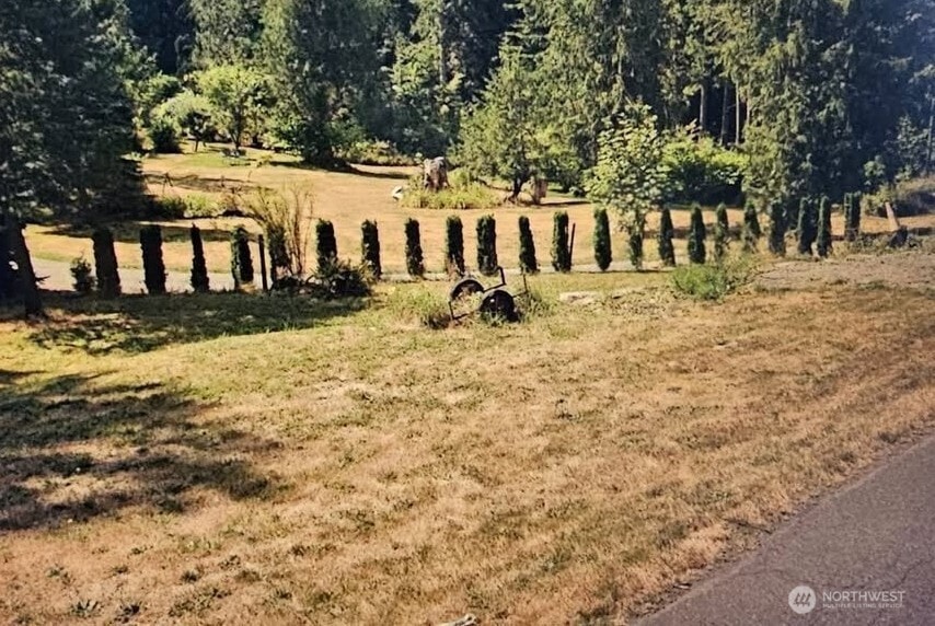 12 353rd Ave SE, Ravensdale, WA 98051 - photo 1